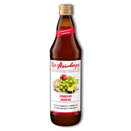 Dr. Steinberger Ingwer-Mix (Bio) - 750 ml